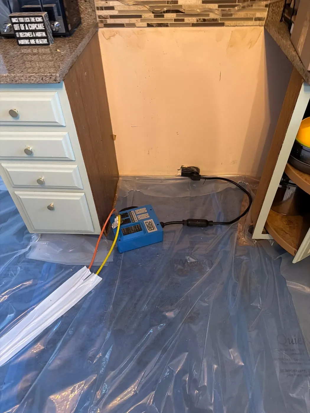 Thermal imaging during water damage assessment in Old Town Plainfield residence